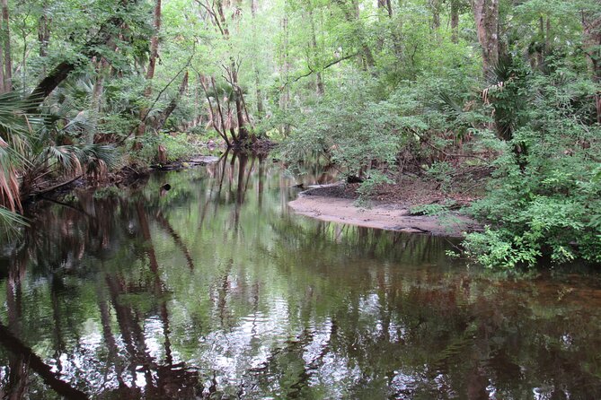 Exclusive Nature Escape Kayak Adventure on Blackwater Creek - What to wear and bring for comfort (and fewer regrets)