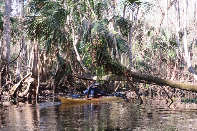 Exclusive Nature Escape Kayak Adventure on Blackwater Creek - Fitness level: how hard is the paddle?