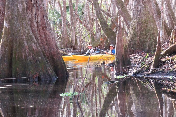 Exclusive Nature Escape Kayak Adventure on Blackwater Creek - Where you start and how the timing works