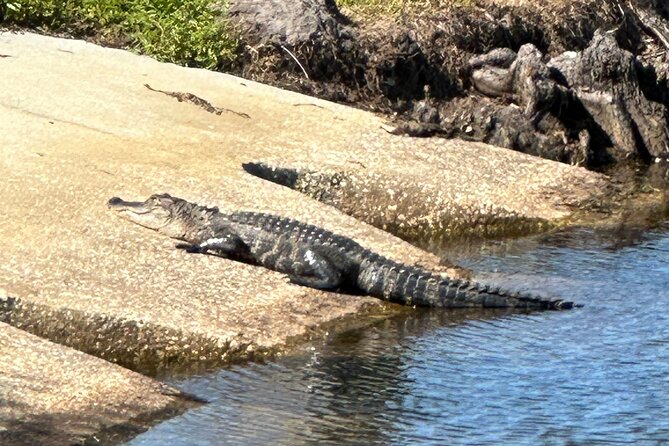 Experience Kissimmee Lakefront Mountain Bike Tour (2 Hours) - Getting Started at the Kissimmee Lakefront (1009 E Lakeshore Blvd)