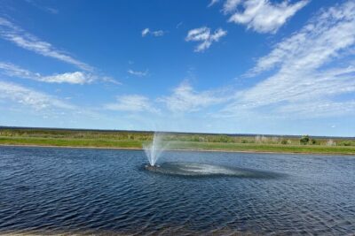 Experience Kissimmee Lakefront Mountain Bike Tour (2 Hours) - Kissimmee to the Lakefront Park: Cranes, Peacocks, and a 2024 Bridge