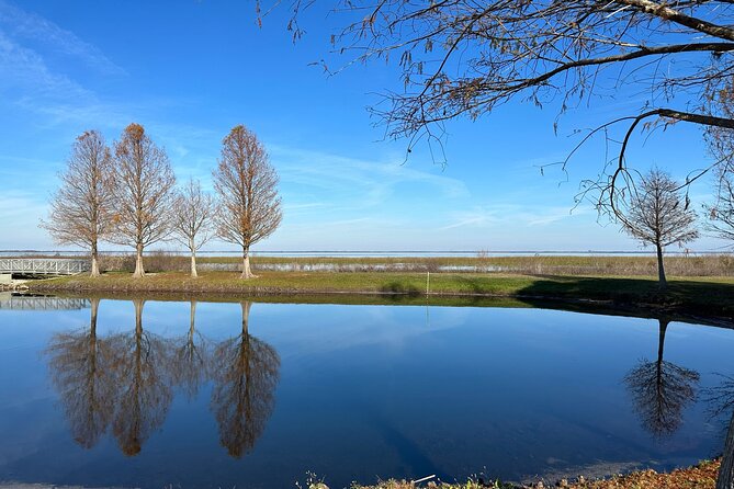 Experience Kissimmee Lakefront Mountain Bike Tour (2 Hours) - What You Actually Get: The Small Extras That Matter in Florida