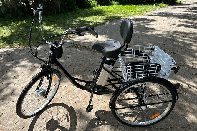 Experience Wild Florida Nature Up Close on Electric Trike (2 hrs) - Key things to know before you go