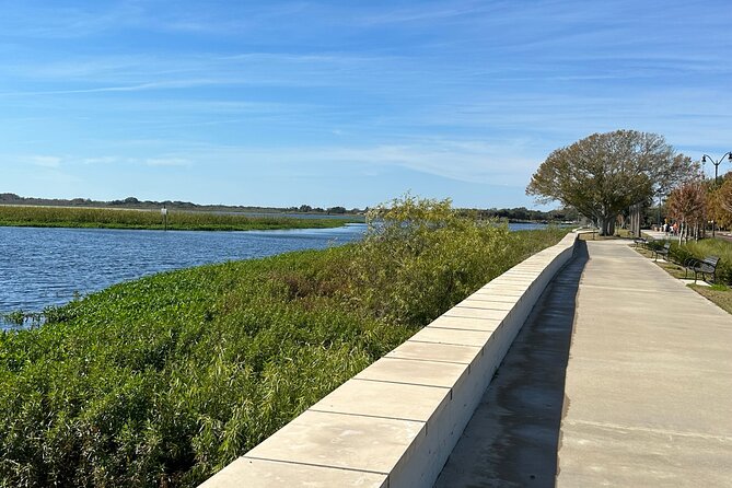 Experience Wild Florida Nature Up Close on Electric Trike (2 hrs) - Stop 4: Back Toward the Lakefront for One More Wildlife Scan