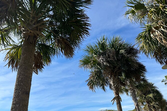 Experience Wild Florida Nature Up Close on Electric Trike (2 hrs) - Stop 1: Two Miles of Lakefront Cruising and Wildlife Moments