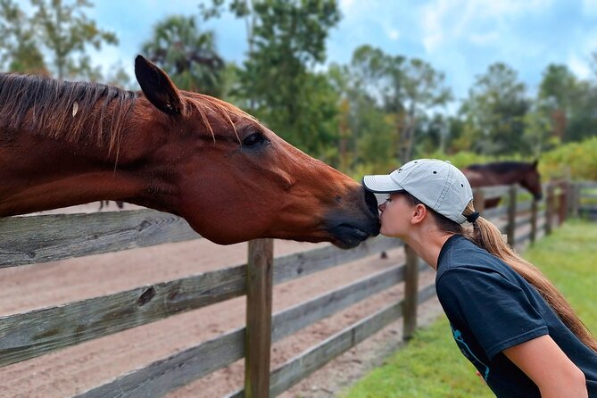 Farm Experience with Ponies, Bunnies, Chickens and Goats - Farm Therapy Ranch in Oviedo: What This Tour Really Feels Like