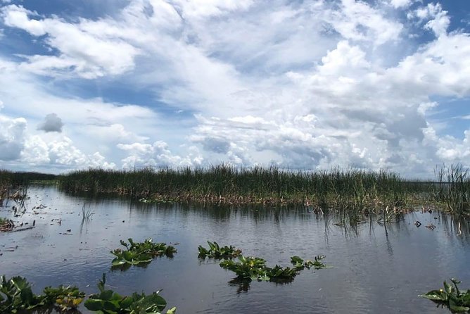 Florida Everglades Airboat Tour and Wild Florida Admission with Optional Lunch - Lunch at Chomp House Grill: the half-day upgrade and when it’s worth it