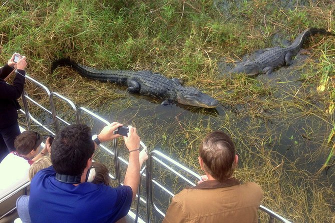 Florida Everglades Airboat Tour and Wild Florida Admission with Optional Lunch - Weather and packing: small gear that makes a big comfort difference