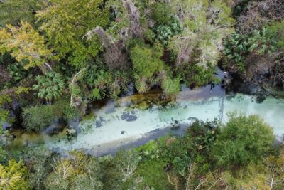 Florida paddle excursions - Meet the Guide: Ashley Sets the Tone