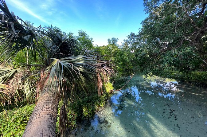 Florida paddle excursions - The Real Value of $60 for Two Hours