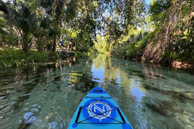 Florida paddle excursions - Who This Paddle Trip Fits Best (and Who Should Think Twice)