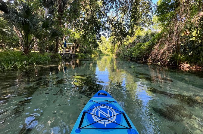 Florida paddle excursions - Practical Tips You’ll Be Glad You Thought About