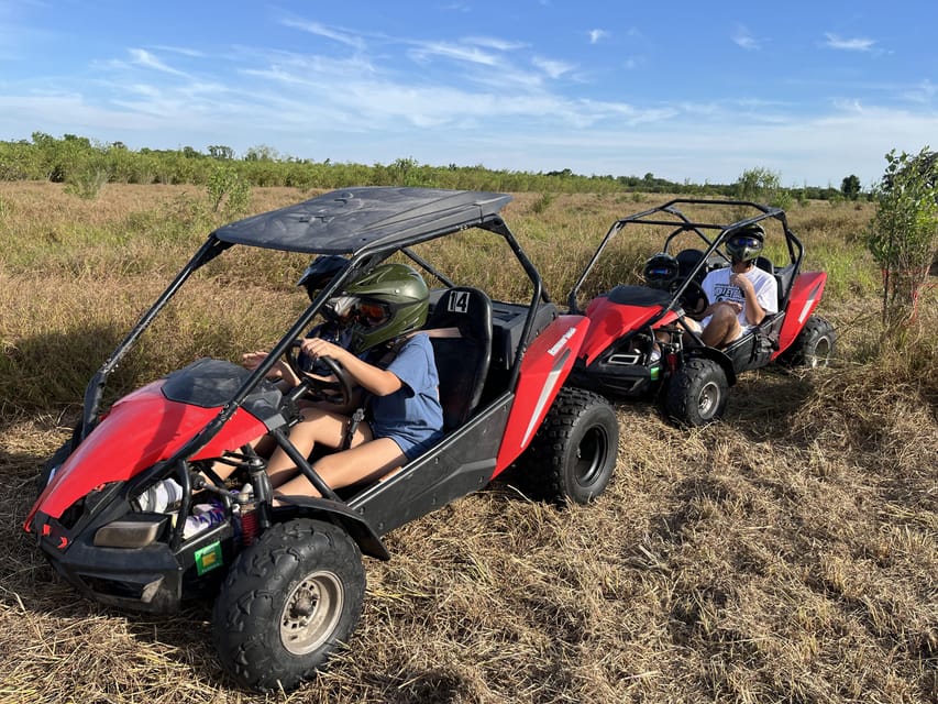 Fort Meade: Bamboo Dune Buggy Tour - Key highlights worth caring about