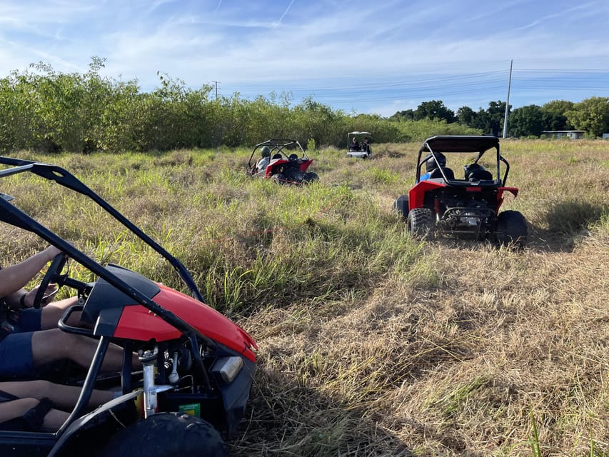 Fort Meade: Bamboo Dune Buggy Tour - Tropical Fruit Trees You’ll Spot Along the Way