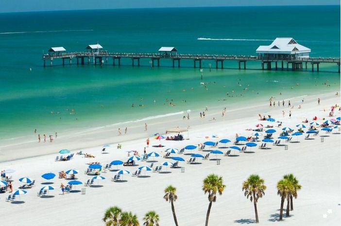 From Orlando: Clearwater Beach and Marine Aquarium Admission - Underwater Viewing Platforms: The Best Way To Watch Dolphins Up Close