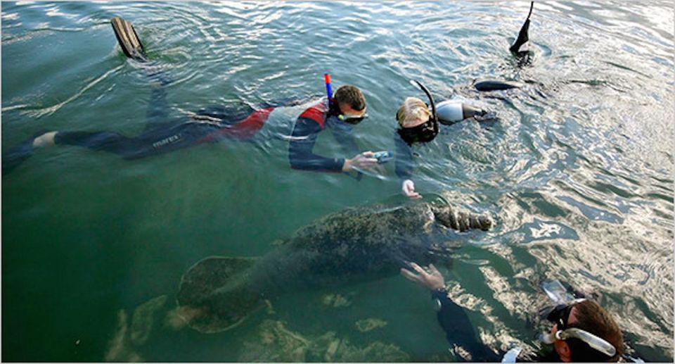 From Orlando: Manatee Snorkel Tour with Lunch & Hotel Pickup - Guides and crew: what a small-group day really feels like