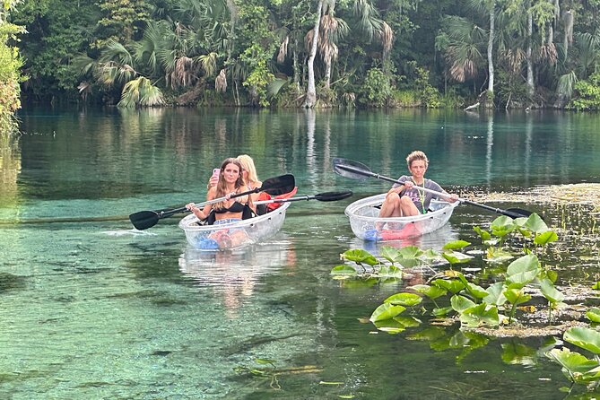 Gator Viewing Clear Kayak Springs Tour - Key things to know before you go
