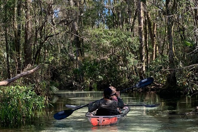 Glass Bottom Kayak Eco Tour through Rainbow Springs - Key things to know before you go