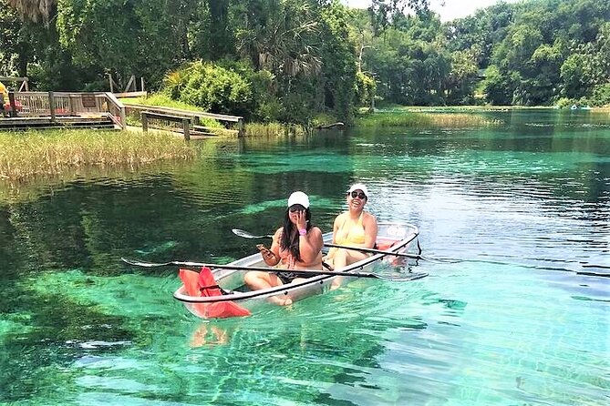 Glass Bottom Kayak Eco Tour through Rainbow Springs - Wildlife spotting that’s actually realistic (not just wishful thinking)