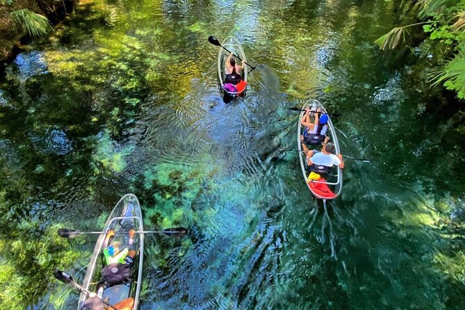 Glass Bottom Kayak Tours of Silver Springs - Key points before you go