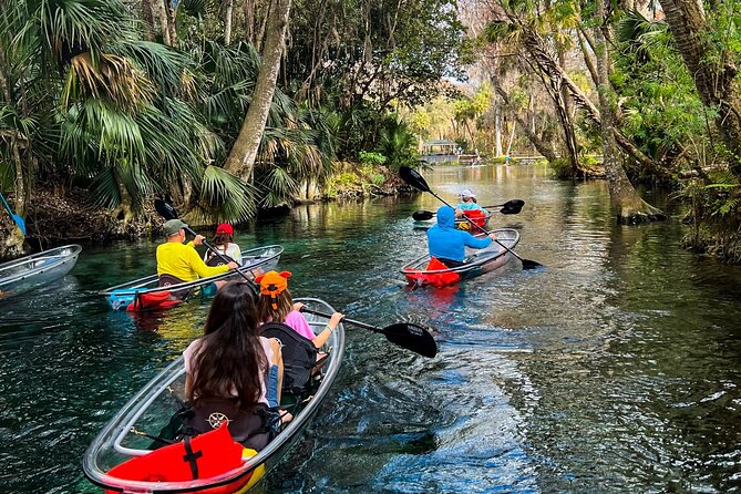 Glass Bottom Kayak Tours of Silver Springs - Why a glass-bottom kayak at Silver Springs is different