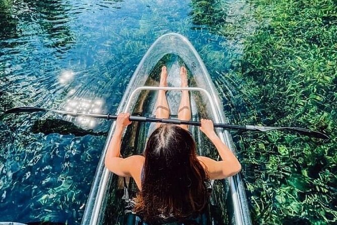 Glass Bottom Kayak Tours of Silver Springs - What you’ll actually pay: tour price vs. park admission vs. launch fee
