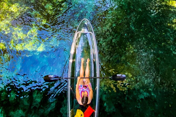 Glass Bottom Kayak Tours of Silver Springs - The guide factor: what makes Sam, Josh, and Bry worth listening to