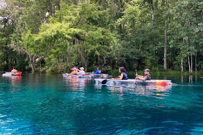 Glass Bottom Kayak Tours of Silver Springs - Should you book this glass-bottom kayak tour of Silver Springs?