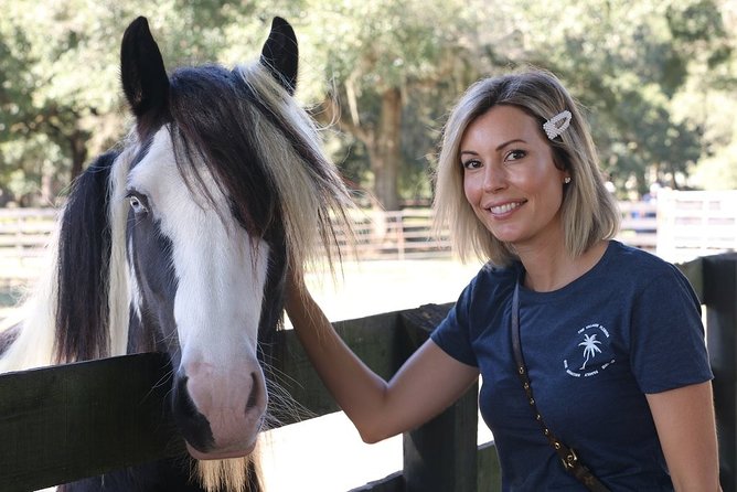 Gypsy Gold Horse Farm Tour - Petting, Photos, and the Stallion Moment That’s Included