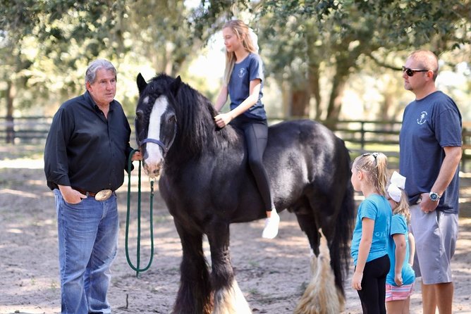 Gypsy Gold Horse Farm Tour - Spot the Gypsy Lifestyle Threads Without Making It Cultural Tourism