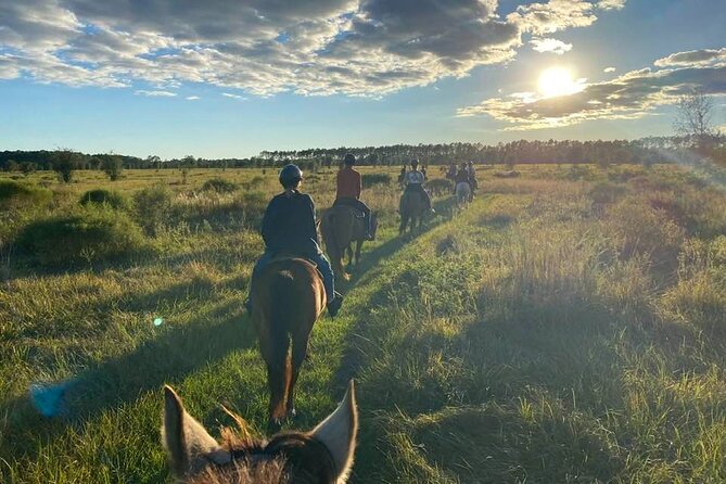 Horseback Ride on Scenic Lake Louisa Trails - Quick hits to know before you go