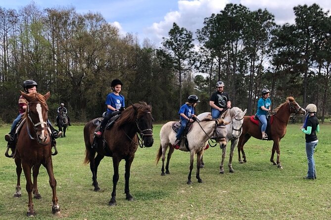 Horseback Ride on Scenic Lake Louisa Trails - The ride experience: calm horses and a trail rhythm that fits beginners