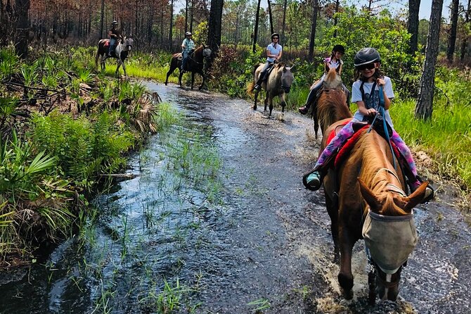 Horseback Ride on Scenic Lake Louisa Trails - Price and value: is $79 worth it?