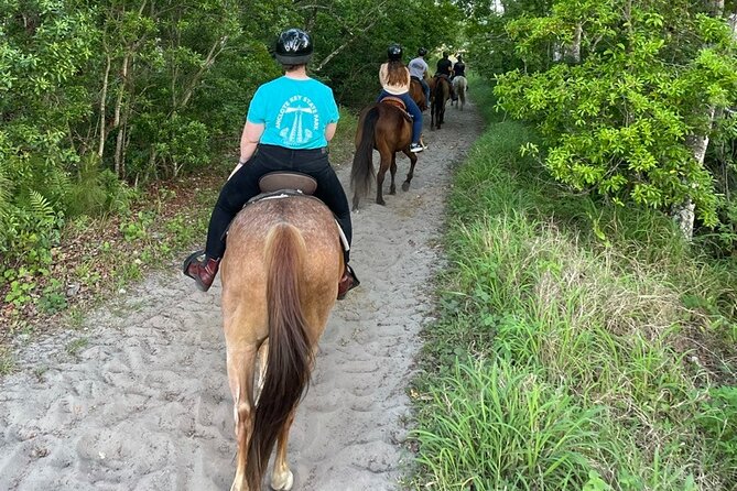 Horseback Ride on Scenic Lake Louisa Trails - Meet the guides: why the crew style matters