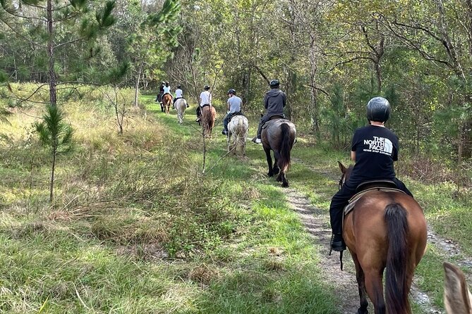 Horseback Ride on Scenic Lake Louisa Trails - What you’ll learn at the saddle: nature, plants, and park stories