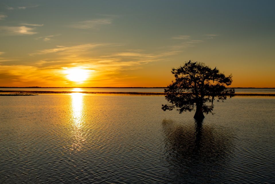 Kissimmee: Boggy Creek Sunset Airboat Tour - Key Points Before You Go