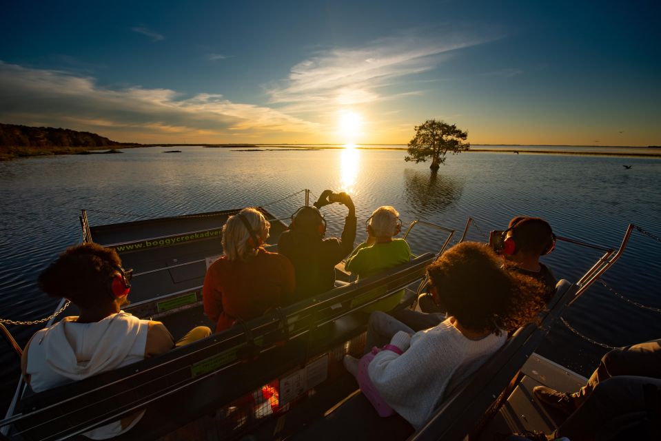 Kissimmee: Boggy Creek Sunset Airboat Tour - Wildlife Spotting That Feels Honest: What You Can Realistically Expect