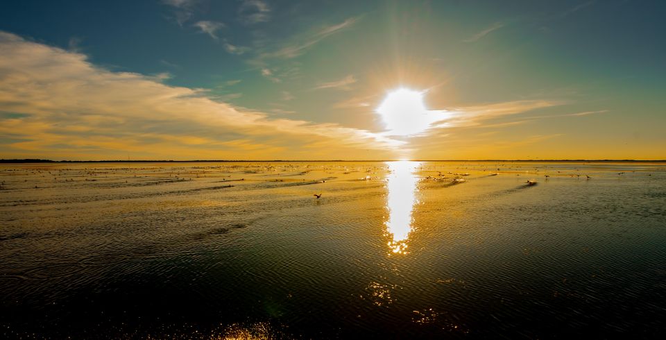 Kissimmee: Boggy Creek Sunset Airboat Tour - Should You Book Boggy Creek’s Sunset Airboat Tour?