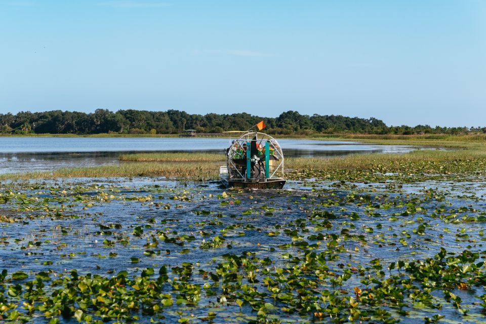 Kissimmee: Everglades Airboat Adventure Tour - Airboat Speed Meets Real Swamp Views from Kissimmee