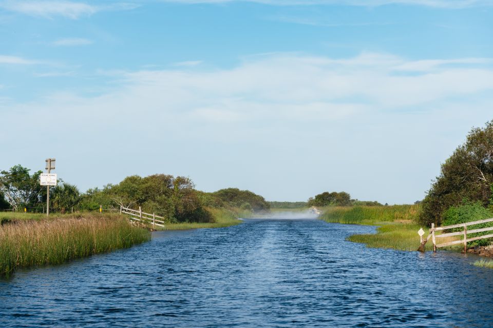 Kissimmee: Everglades Airboat Adventure Tour - Timing, Weather, and When Your Odds Improve