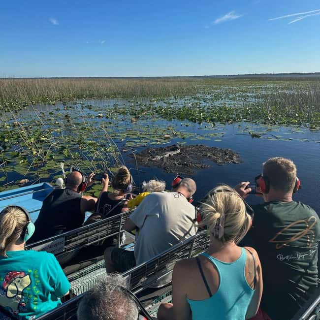 Kissimmee: Everglades Alligator and Wildlife Airboat Tour - When You Might Want Something Longer Instead