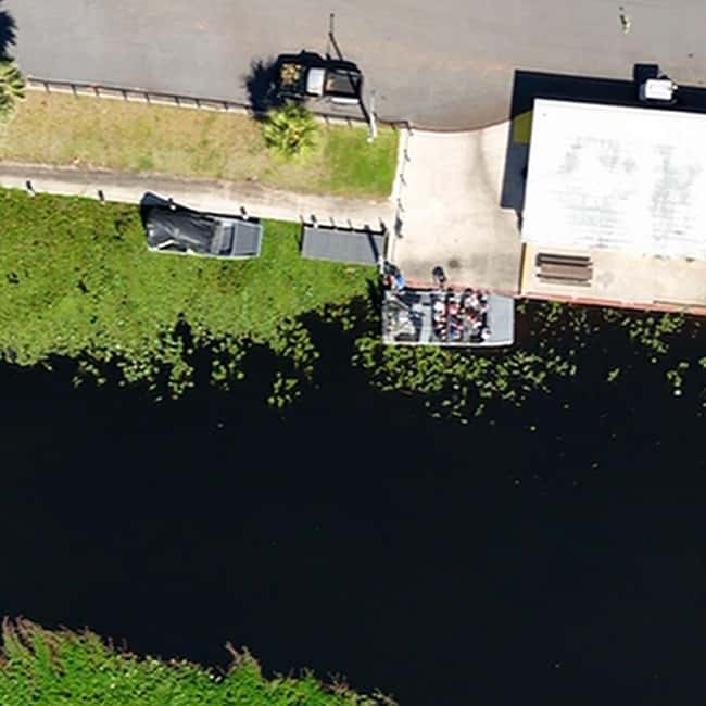 Kissimmee: Everglades Alligator and Wildlife Airboat Tour - Wildlife Checklist: Alligators, Eagles, Otters, and the Birds You Will Actually Notice
