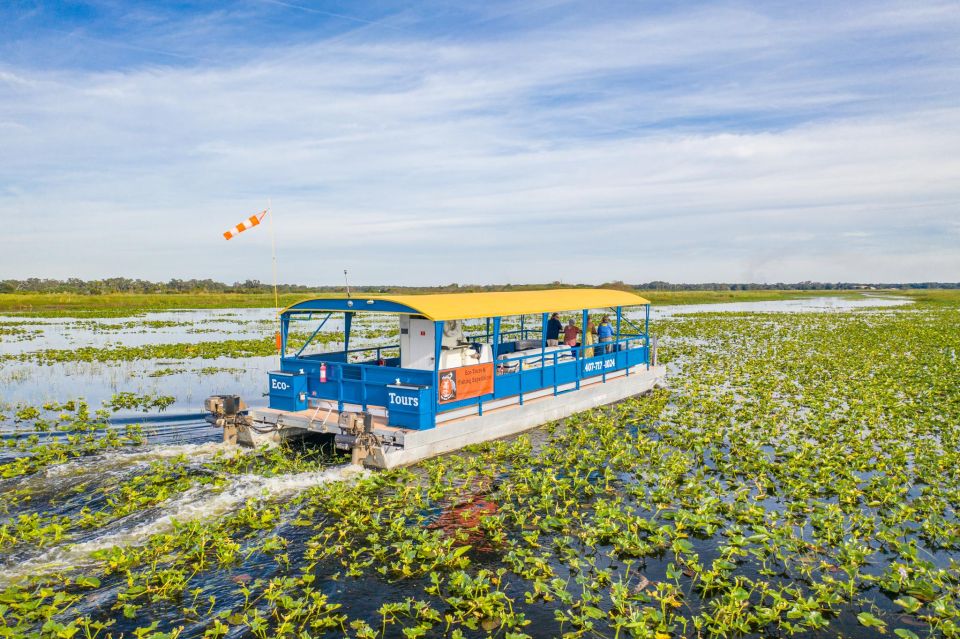 Kissimmee: Florida Everglades Pontoon Boat Tour - Kissimmee Everglades by Pontoon: What This Trip Really Delivers