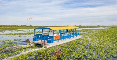 Kissimmee: Florida Everglades Pontoon Boat Tour - Where You Start: Big Toho Marina and the 69 Lakeview Dr Check-In