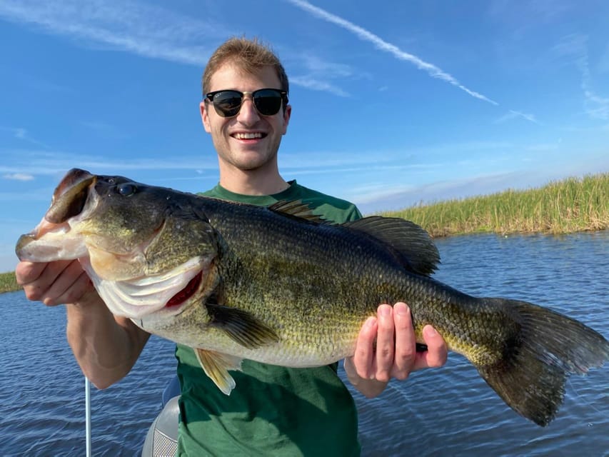 Kissimmee: Private Lake Tohopekaliga Fishing Charter - Wildlife Moments: Bald Eagles and Alligators While You Fish