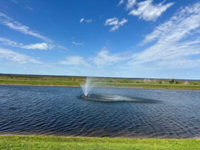 Kissimmee: Self-Guided Lakefront Tour on All Electric Bike - The electric bike: throttle-only comfort, plus pedal-assist if you want it
