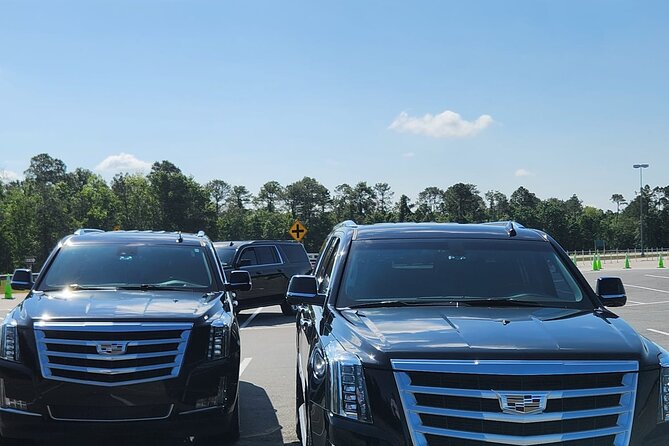 Luxury Transfers Orlando Airport to Disney Resort Area - Return trip planning: keeping your Disney schedule sane