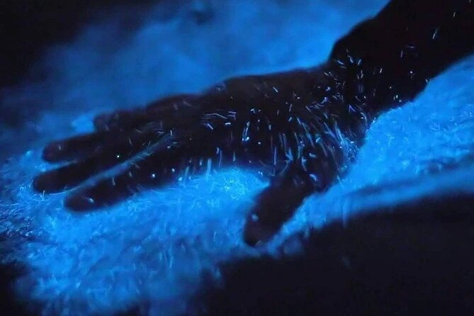 Magic After Dark Bioluminescence Kayak Tour Orlando - Key Highlights You’ll Feel on the Water
