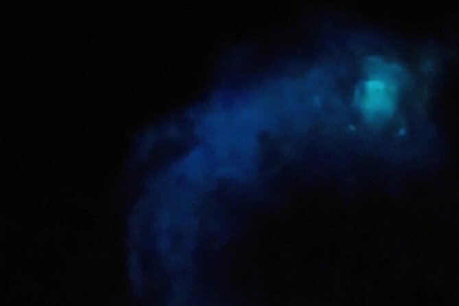 Magic After Dark Bioluminescence Kayak Tour Orlando - The Real Show: Watching Dinoflagellates Glow With Motion