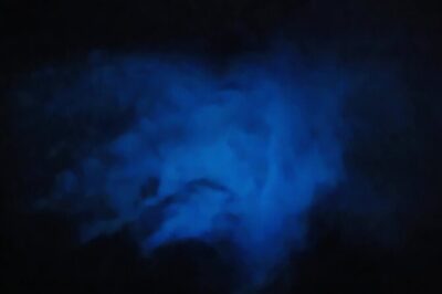 Magic After Dark Bioluminescence Kayak Tour Orlando - First Timer-Friendly: Lessons, Safety, and the Calm Pace